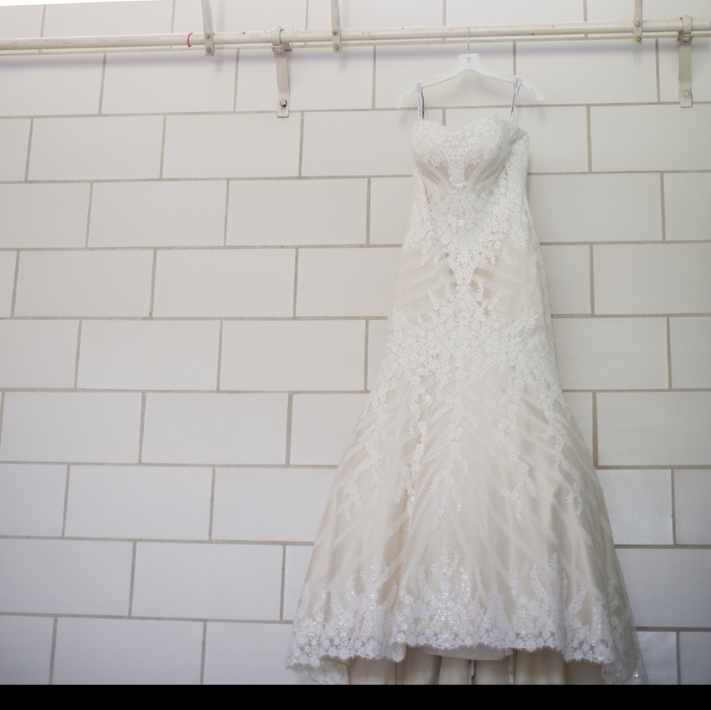 Matthew Christopher | Sophia Wedding Gown & Veil Size 14 - Picture 13 of 16